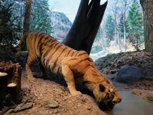 National Museum of Natural Science