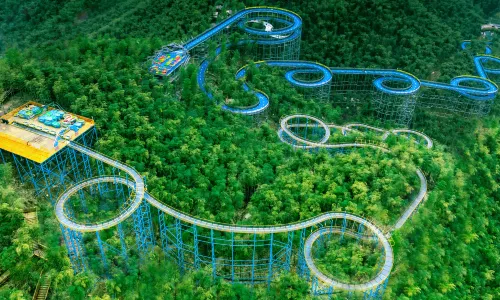Panda Park