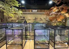 星沐森林昆蟲自然博物館