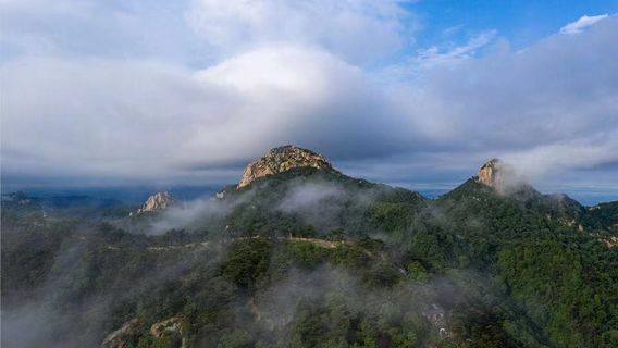 The National Forest Park of Mount Meng Shan