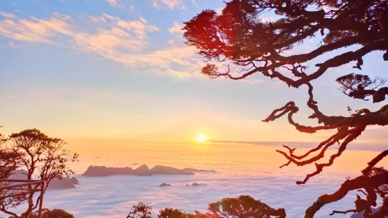 金秀聖堂山景區