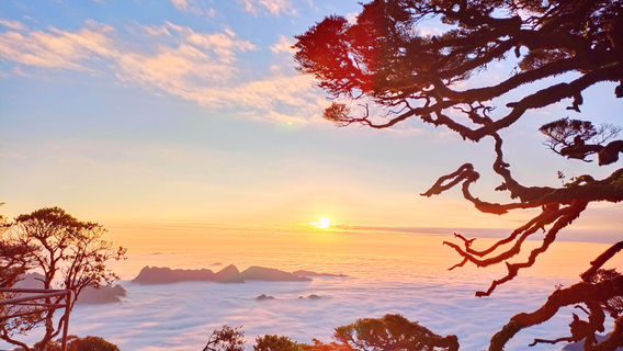 Jinxiu Shengtang Mountain Scenic Area