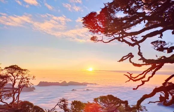 金秀聖堂山景區門票成人