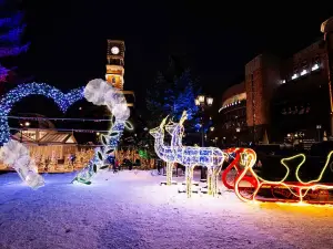 Top 10 Night Attractions in Sapporo