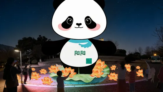 岳阳熊猫灯会
