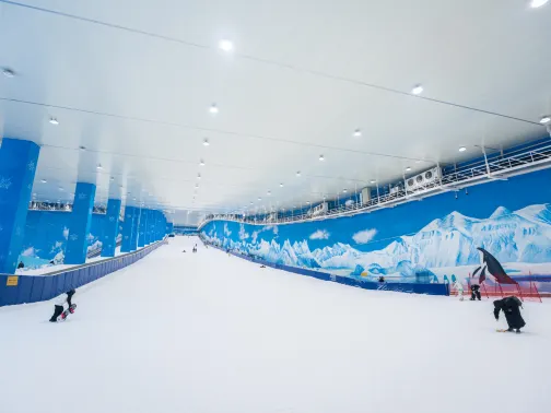 際華冰雪·香城滑雪館