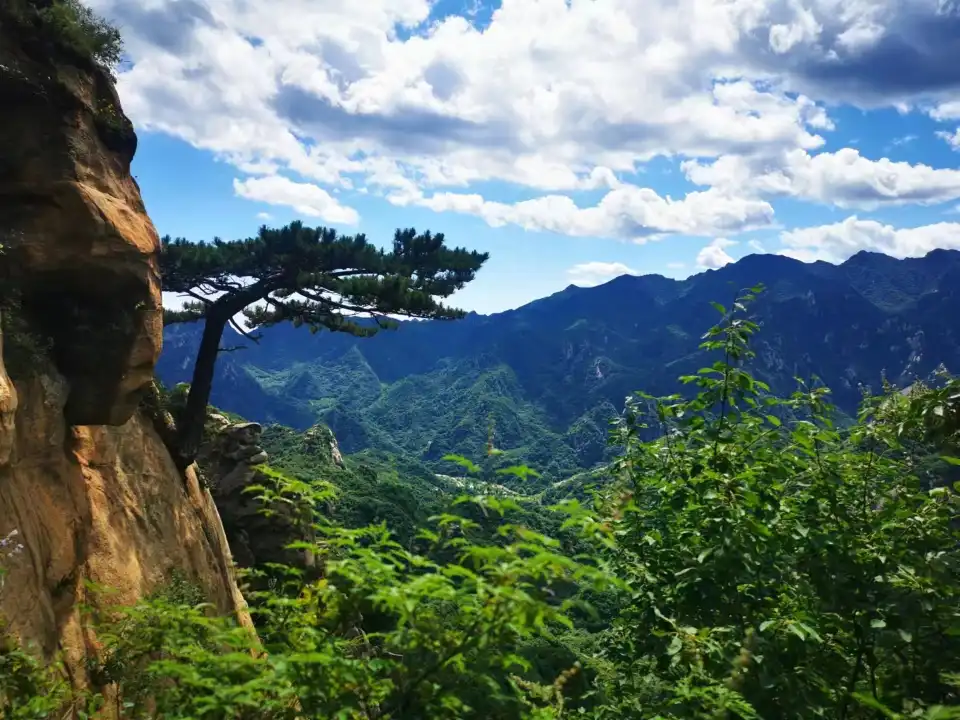 5_Taoyuan Xiangu Natural Scenic Area