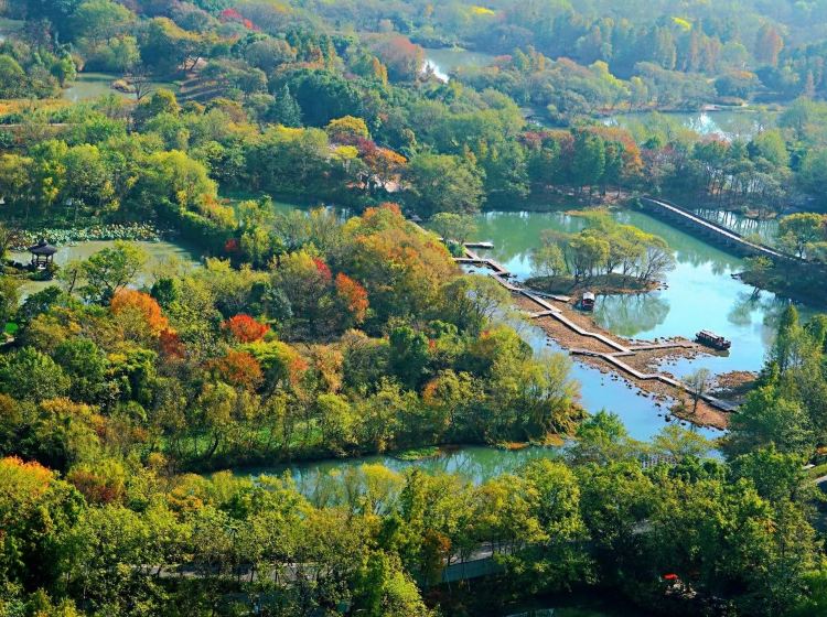 西溪國家濕地公園