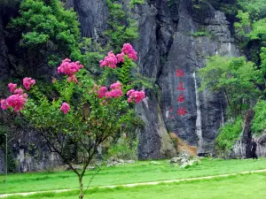 鱗隱石林