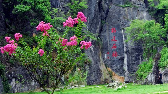 Fujian Linyin Stone Forest