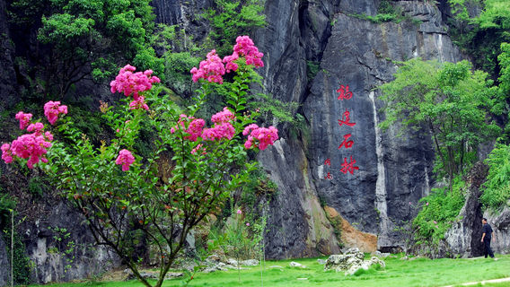 Fujian Linyin Stone Forest
