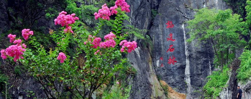 鱗隱石林