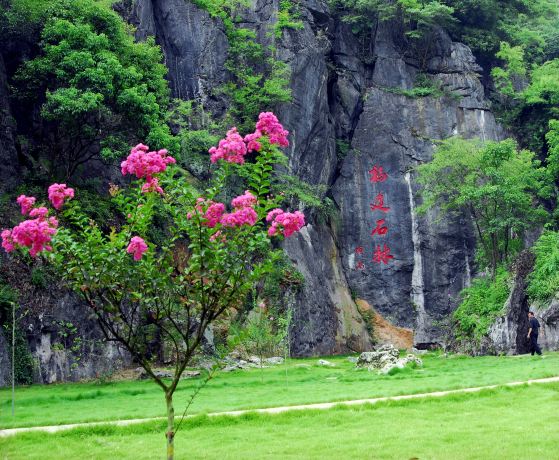 Fujian Linyin Stone Forest