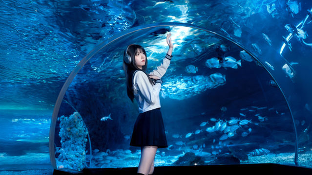 Jianghemei Ocean Park