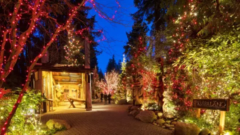 Capilano Suspension Bridge Park attraction in Canada