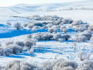 阿爾山國家森林公園