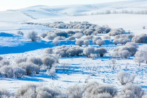 아얼산 국가산림공원