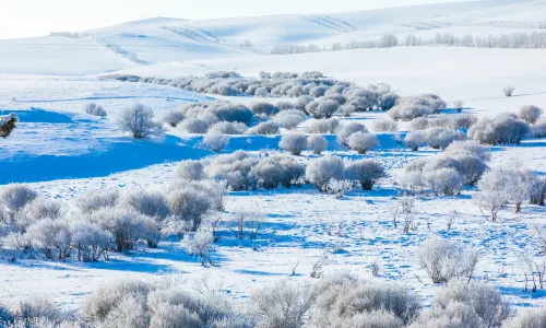 아얼산 국가산림공원