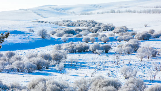 아얼산 국가산림공원