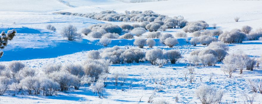 阿爾山國家森林公園
