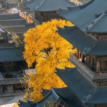 Puyuan Fashion Resort