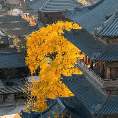 Puyuan Fashion Resort