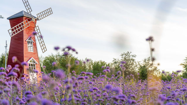 The city never sleeps