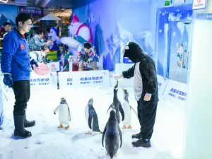 銀基冰雪世界