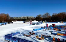 The 15th Taoranting Park Ice Carnival