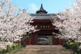 必訪景點