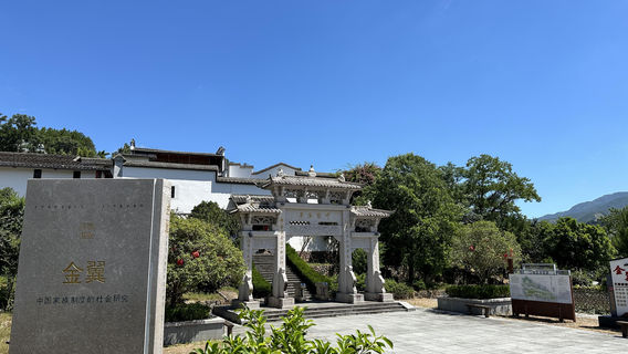 Golden Wing House