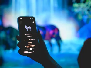 teamLab 포레스트 후쿠오카