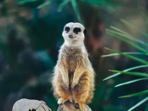 Zoo di Barcellona