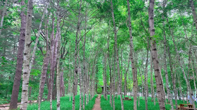 5_เกาะนามิ