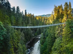 Ponte sospeso di Capilano