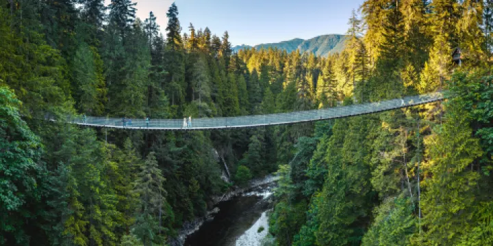 卡皮拉諾吊橋公園