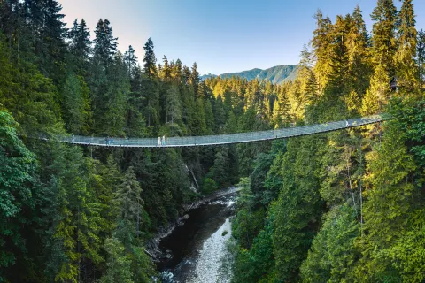 Ponte sospeso di Capilano