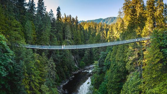 Capilano Suspension Bridge Park