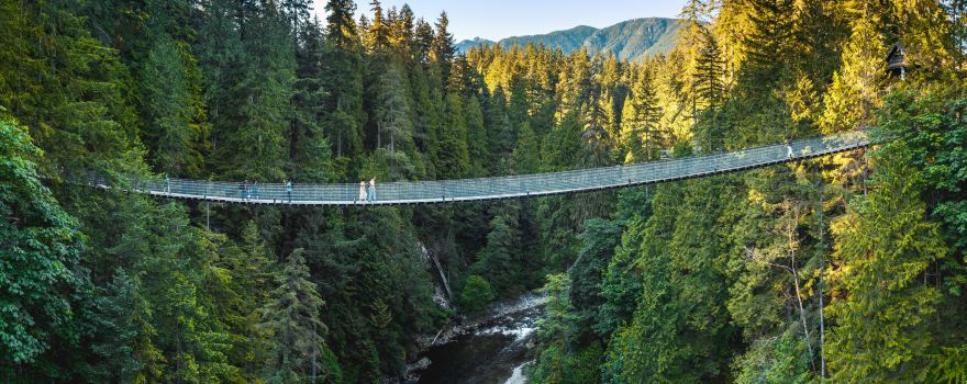 Capilano Suspension Bridge Park