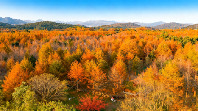 Yixing National Forest Park