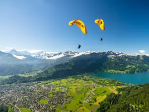 Paragliding Experience in Interlaken by Paragliding Interlaken