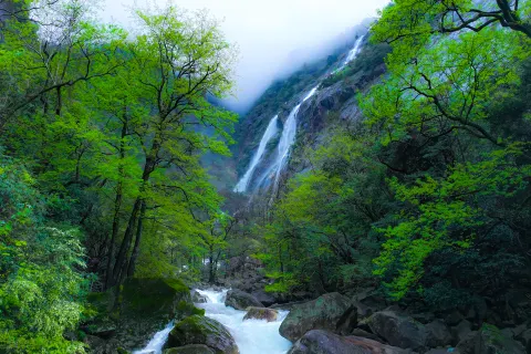 大鄣山臥龍谷