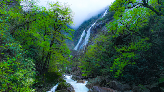 Dazhang Mountain Wo Long Gu