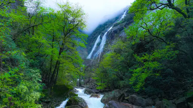 Hotels near Wuyuan Scenic Area
