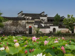 서체(시디춘)
