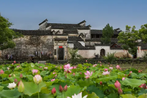 서체(시디춘)