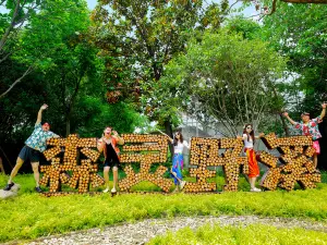 Yancheng Safari Park