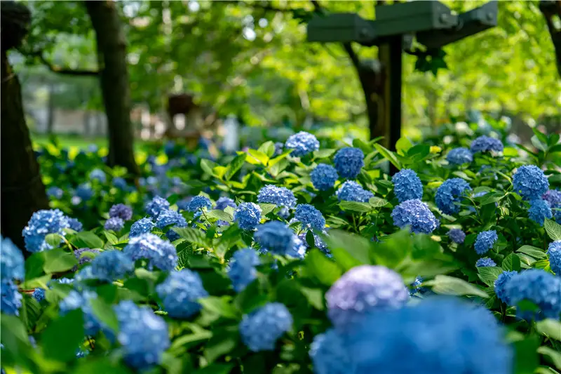4_Tai Hu Yuantouzhu Scenic Spot