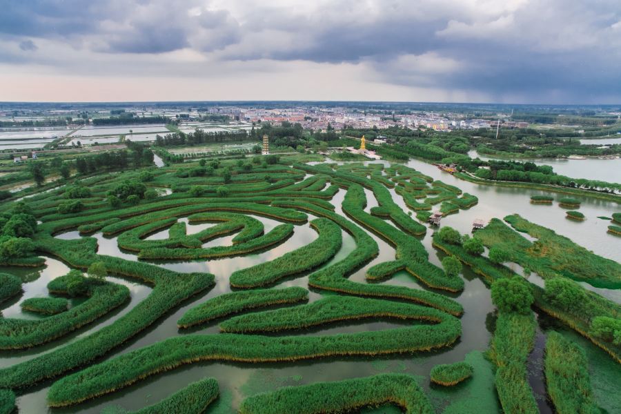 大縱湖