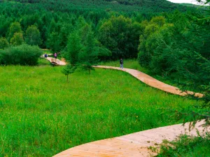 Yangchang River Wetland Scenic Area